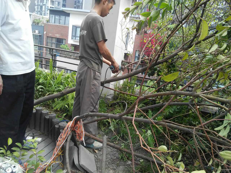 屋頂花園怎么裝修，樓頂花園裝修注意事